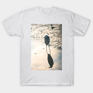 My reflection T-Shirt